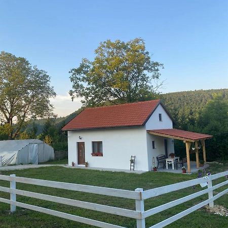 Willa Hill House Emir Bihać Zewnętrze zdjęcie